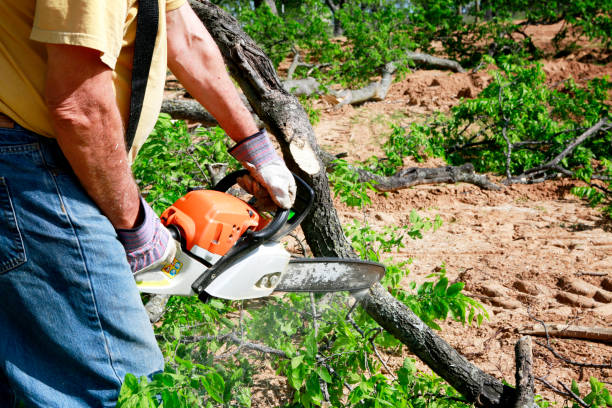  Harrisville, UT Tree Services Pros